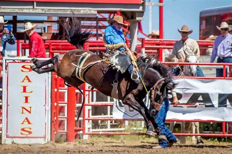 111th California Rodeo Salinas Postponed to September 23-26, 2021