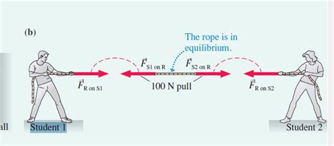 newtonian mechanics - Forces in a rope (tension) - Physics Stack Exchange