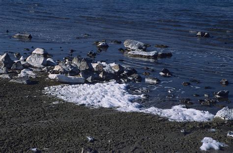 Forgotten Water Samples Reveal 50-Year History of Soap Lake - Lake ...