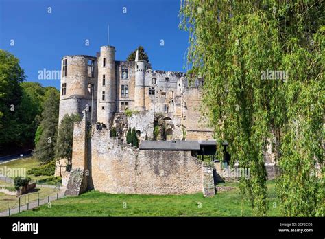 Europe, Luxembourg, Grevenmacher, Beaufort Castle Stock Photo - Alamy