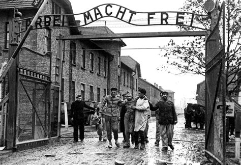 Liberation of Auschwitz | CNN