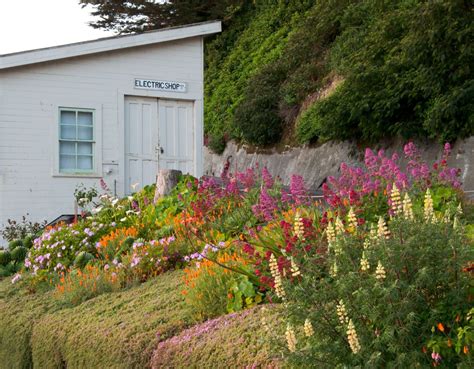 Must Visit San Francisco Gardens of Alcatraz