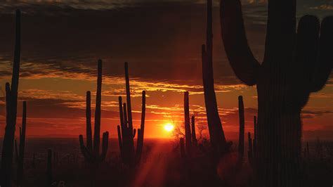 Red Hot Sunset On The Horizon Photograph by Saija Lehtonen - Fine Art America