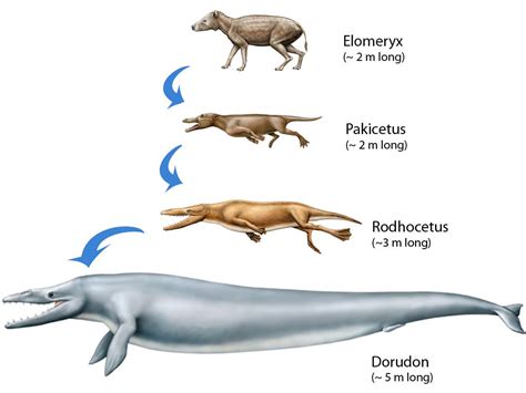 Top 10 Deadliest Dinosaurs | Whale, Prehistoric animals, Extinct animals