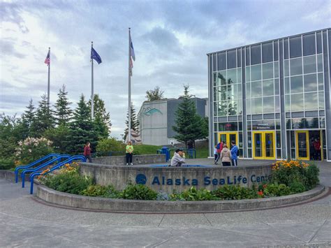 Alaska SeaLife Center Is Ok'd By The AZA