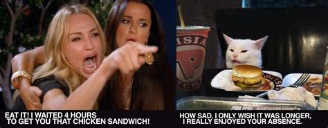 Eat it! - Popeye's Chicken Sandwich. | Woman Yelling at a Cat | Popeyes ...