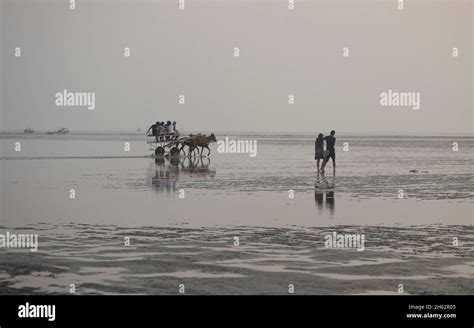 Scene at sunset at Alibag beach showing a horse drawn carraige carrying ...