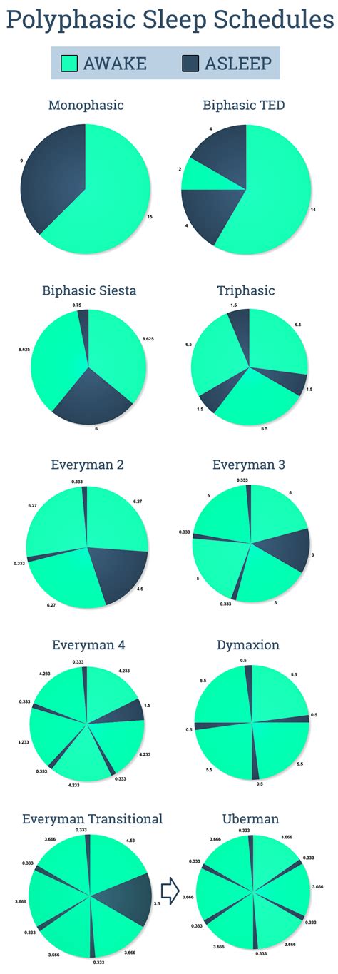 My Journey Into Polyphasic Sleep | Multiple Sleep Cycles & Daily Efficiency | ThoughtfulReading