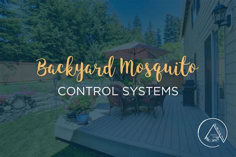 The Best Backyard Mosquito Control Systems - Our Blue Ridge House