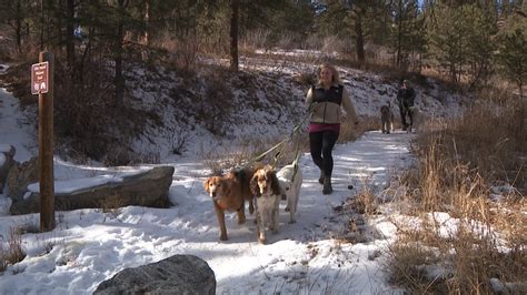 In Colorado, New Year's resolutions to exercise outside include dogs too