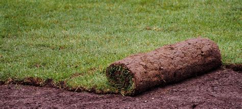 Laying Your New Lawn - Greenway Turf