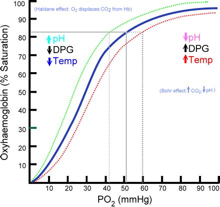 Oxygen–hemoglobin dissociation curve - Wikipedia