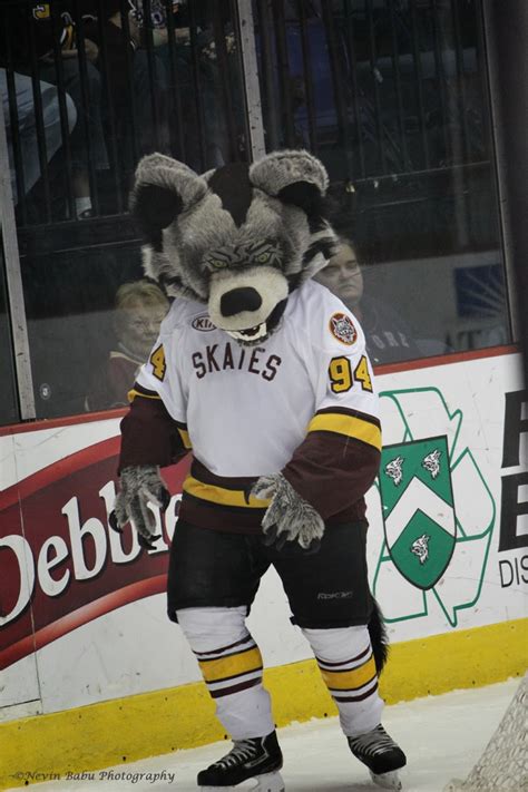 SKATES - The Chicago Wolves Mascot - THROUGH THE LENS