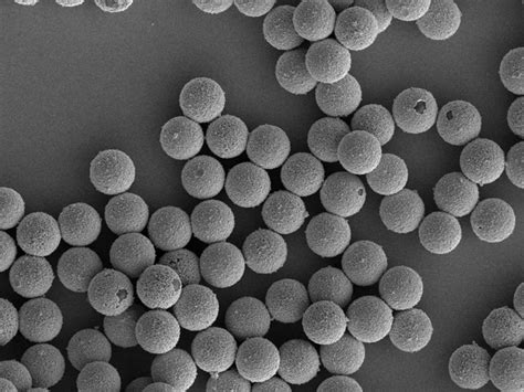 Silver-Coated (Conductive) Monodisperse Silica Microspheres 2.3g/cc to ...