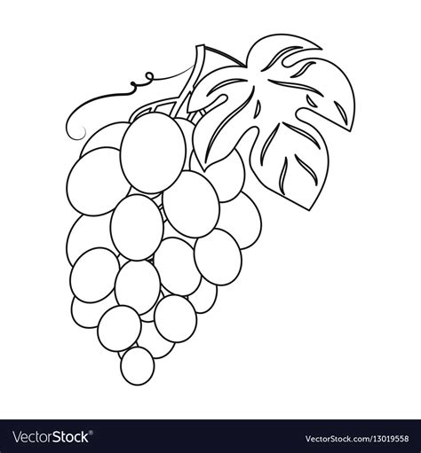 Bunch of grapes icon in outline style isolated Vector Image