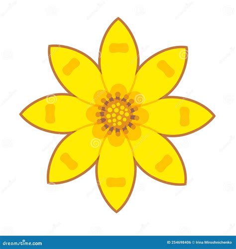 Adey Abeba Ethiopian Flower Stock Vector - Illustration of plant ...