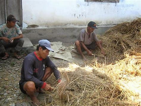 ANIMAL HEALTH SUNDRIES: PEMANFAATAN LIMBAH PERTANIAN SEBAGAI PAKAN TERNAK