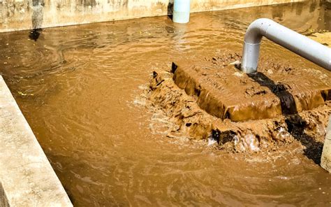 Water or Wastewater Treatment | Sludge Processing