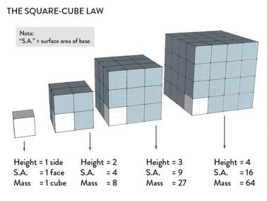 NationStates | The Republic of Square Cube Law