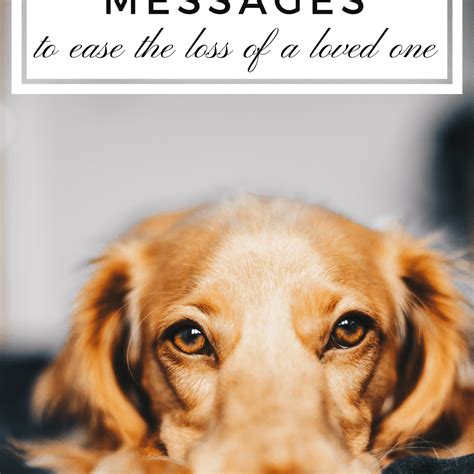 What To Say On A Card For Loss Of Pet | Sitedoct.org