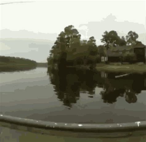 Fishing GIF - Fishing - Discover & Share GIFs