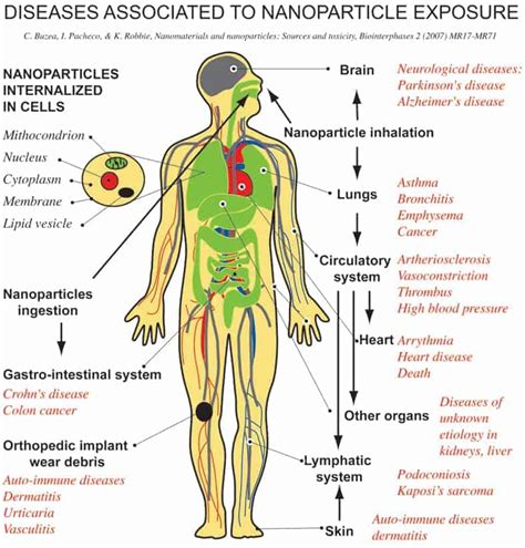 Toxins and my health: Just what do toxins do to affect my health ...