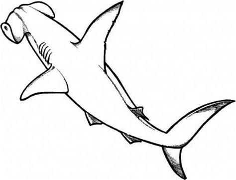 Hammerhead Shark Outline | Free download on ClipArtMag