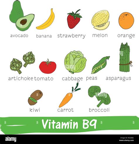 Vitamine: What Is The Other Name Of Vitamin B9