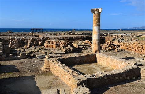 Paphos Archaeological Park 6716 :: Photo