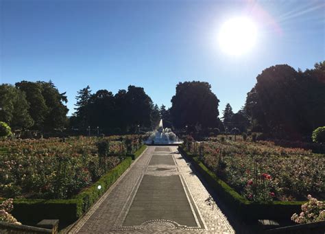 Peninsula Park Rose Garden | Kristi Does PDX: Adventures in Portland, OR