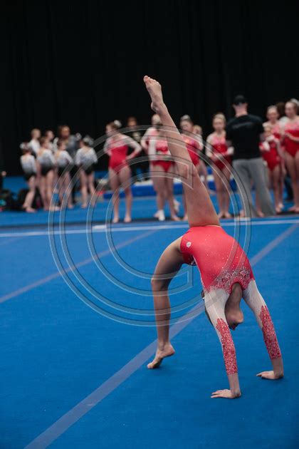 GymnasticsPhoto.com | Payton P