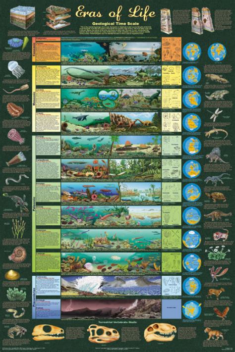 Geological Time Scale - Eras of Life