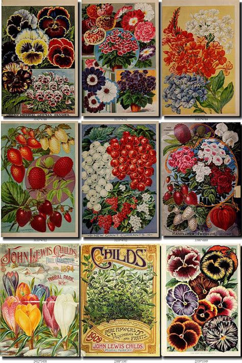 SEEDS-7 Catalogs Covers Collection with 82 vintage images in | Etsy