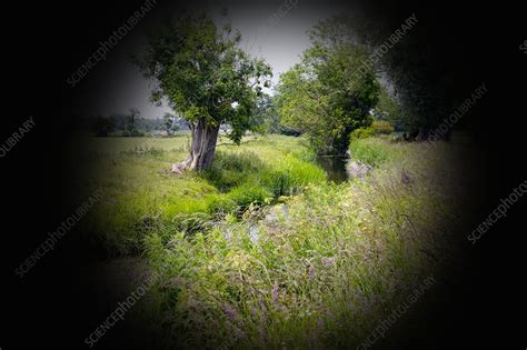 Tunnel vision - Stock Image - F032/6448 - Science Photo Library