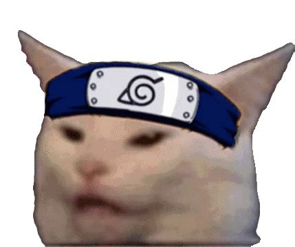 Anime Cat Sticker - Anime Cat Meme - GIF-ləri kəşf edin və paylaşın