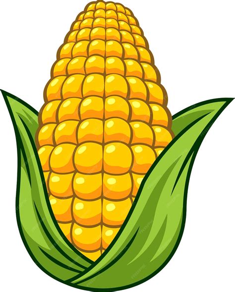 Premium Vector | Cartoon Fresh Corn Cob Vector Hand Drawn Illustration ...