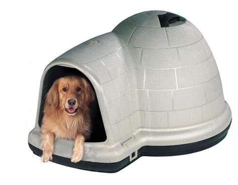 Petmate Indigo Igloo Dog House Review - Doggy Savvy