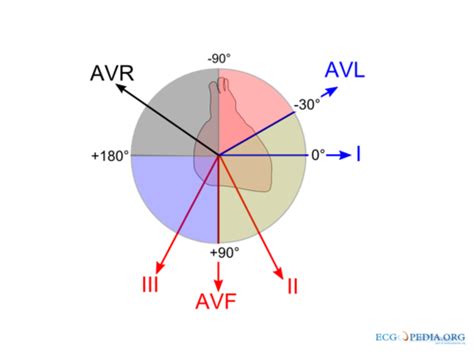 Ekg Axis