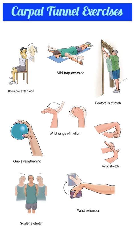 Hand & Wrist | Carpal tunnel, Carpal tunnel exercises, Wrist exercises