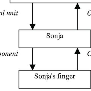 Example of transitive meronymy. | Download Scientific Diagram