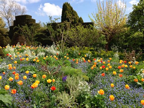 The Peacock Garden, afternoon of 22nd April 2014 | Cottage garden, English garden, Garden