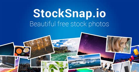 7840 Free CC0 People Stock Photos - StockSnap.io