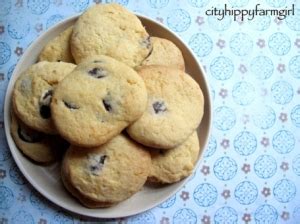 biscuits, cookies and things to nibble | cityhippyfarmgirl