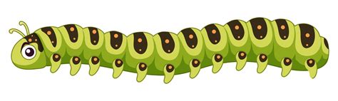 A caterpillar on white background 474897 Vector Art at Vecteezy