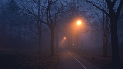 Foggy Night Wallpaper