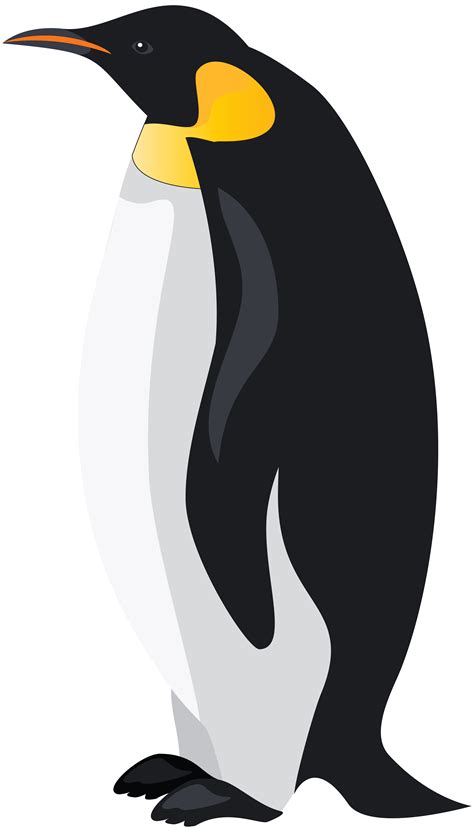 King penguin Bird Emperor Penguin Clip art - penguins png download ...