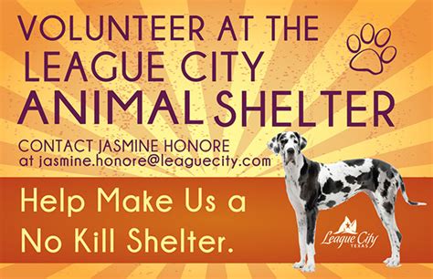 Animal Shelter Volunteer Advertisement on Behance