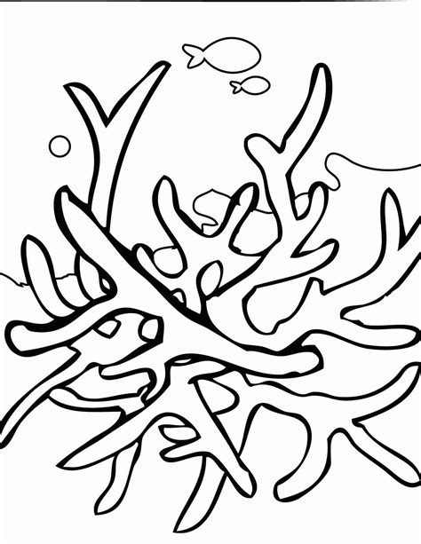 Sea Plants Coloring Pages at GetDrawings | Free download