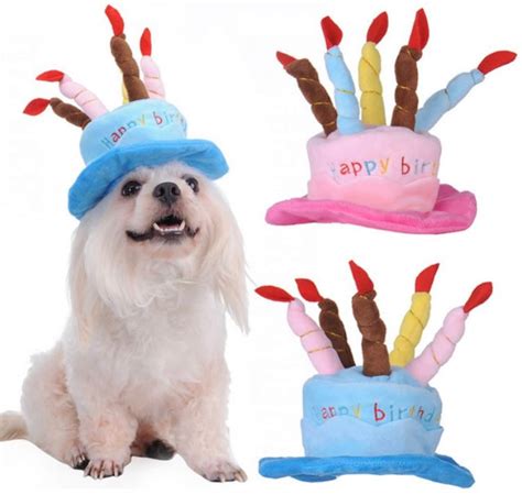 Birthday Hat Dog Hat Dog Birthday Dog Headwear Dog | Etsy