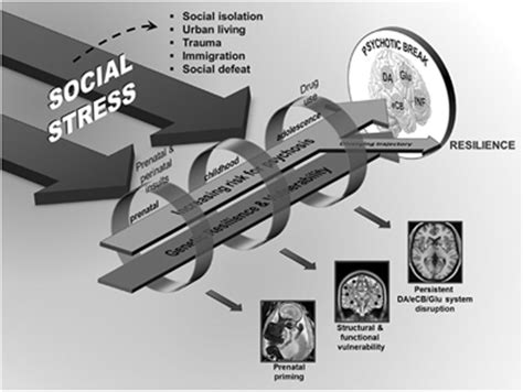 Social Stress and Psychosis Risk: Common Neurochemical Substrates? - Abstract - Europe PMC